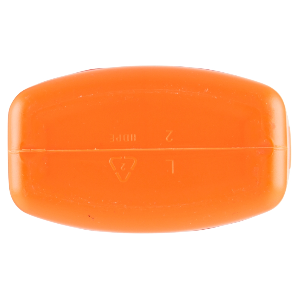 WC Net Professional Sturascarichi Bloccati Azione Totale 1000 ml